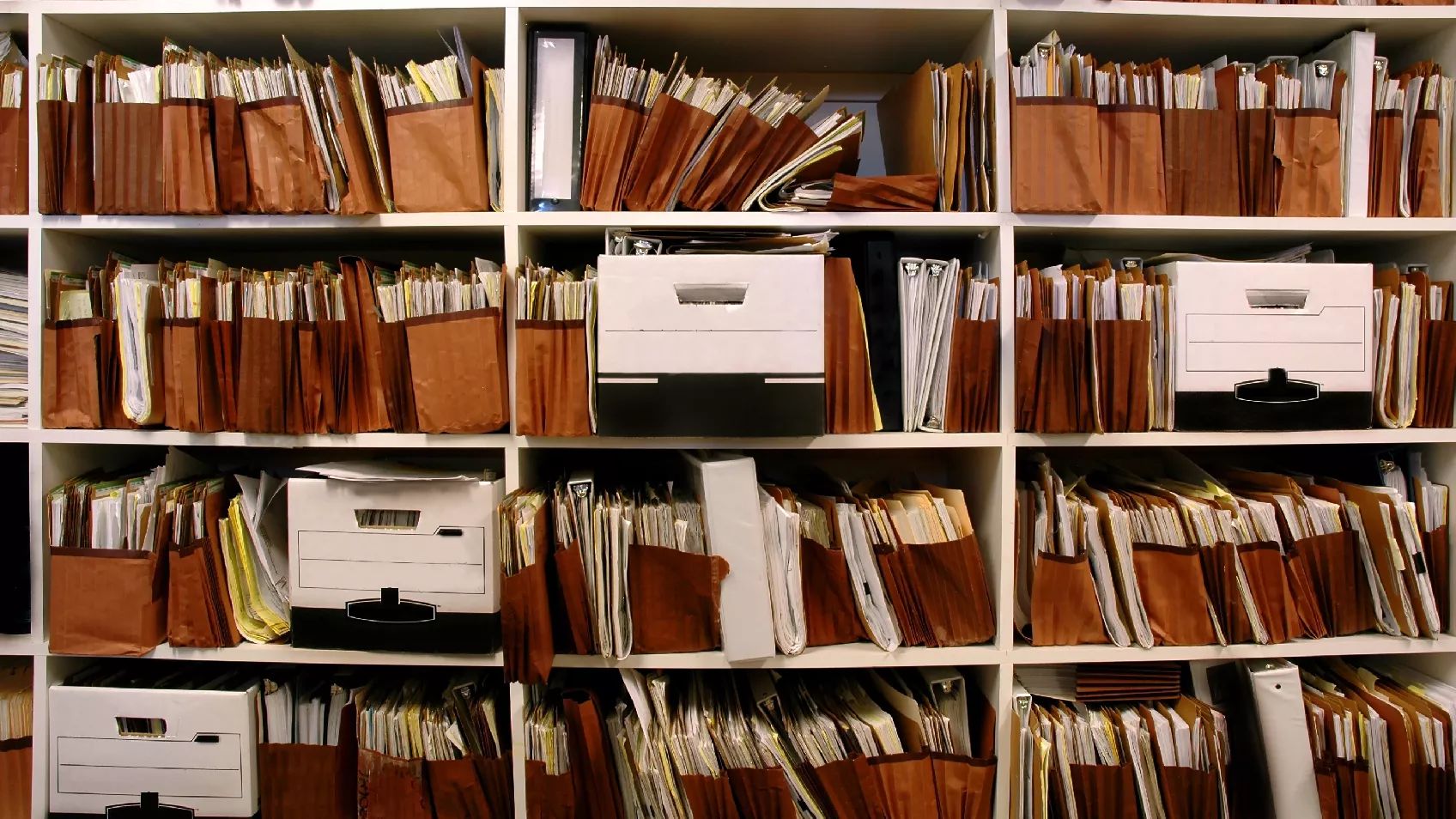 Using Census, Immigration, Newspaper, and Yearbook Records at MyHeritage to Explore the Lives of Your Ancestors