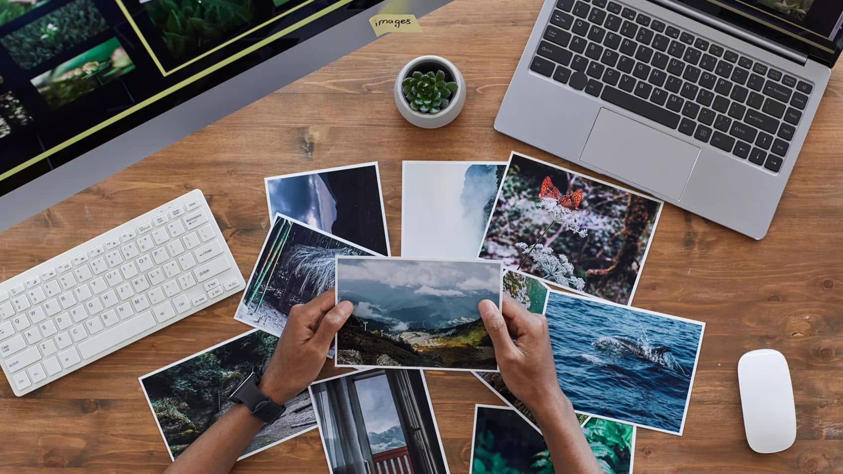 Getting Started with Heritage Collector Software Part 2 (a Legacy add-on tool for your photos)