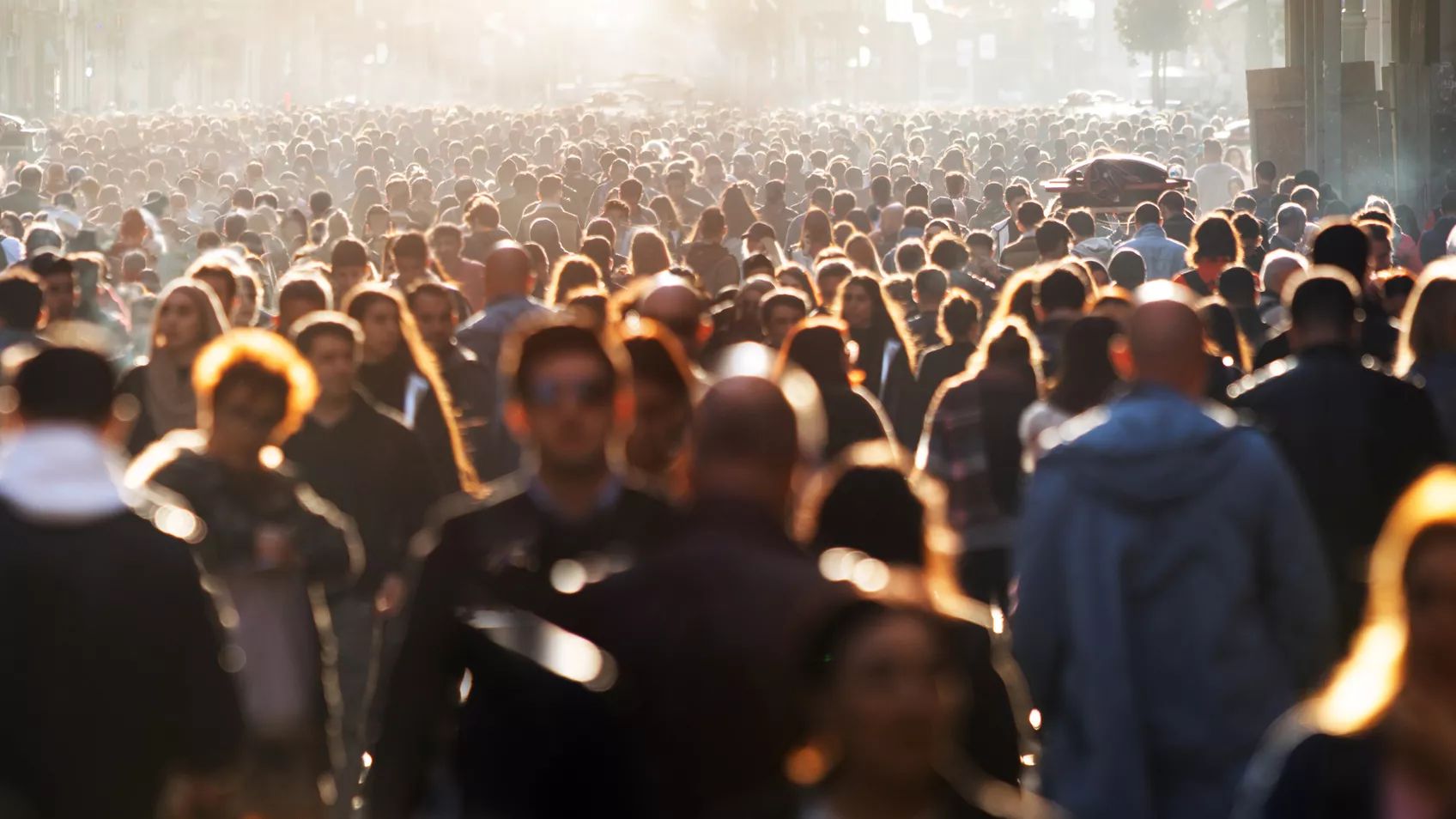 Two Ways to Approach Your MyHeritage DNA Match List